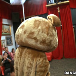 Amateurs in 'Bangbros' Crashing the club! Dancing Bear Style! (Thumbnail 1)