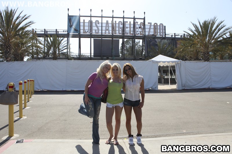 Bangbros 'Fuck Team Zoo Trip' starring Britney Amber (Photo 160)