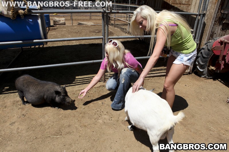 Bangbros 'Fuck Team Zoo Trip' starring Britney Amber (Photo 416)