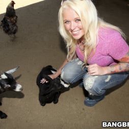 Britney Amber in 'Bangbros' Fuck Team Zoo Trip (Thumbnail 463)