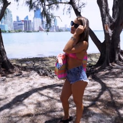Evelin Stone in 'Bangbros' Naughty Fun In Miami (Thumbnail 96)