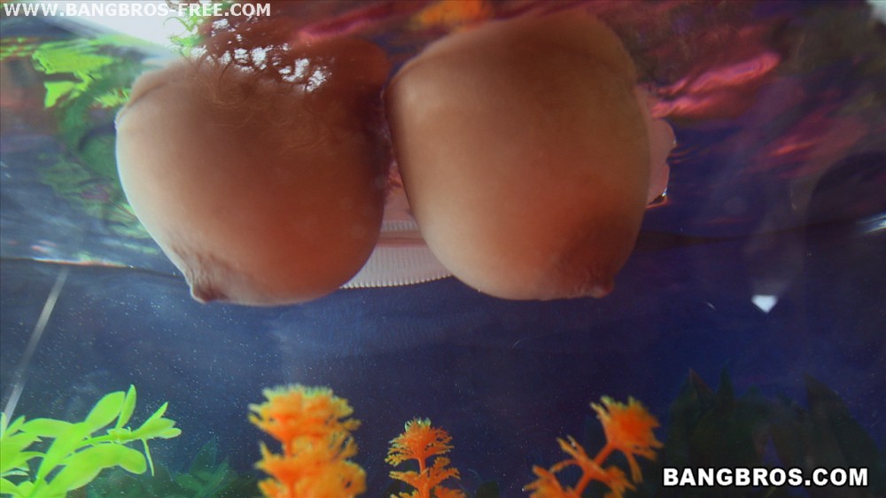 Bangbros 'Natural Double D Tits' starring Katt Garcia (Photo 264)