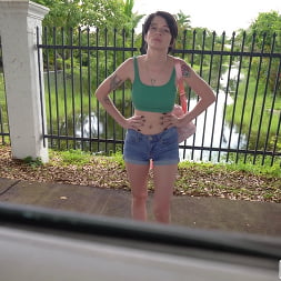 Kitty Lynn in 'Bangbros' We Spotted a Wild Kitty (Thumbnail 1050)