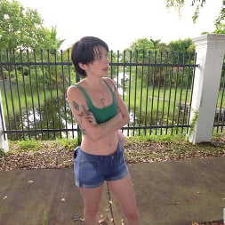 Kitty Lynn in 'Bangbros' We Spotted a Wild Kitty (Thumbnail 1350)