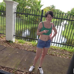 Kitty Lynn in 'Bangbros' We Spotted a Wild Kitty (Thumbnail 375)