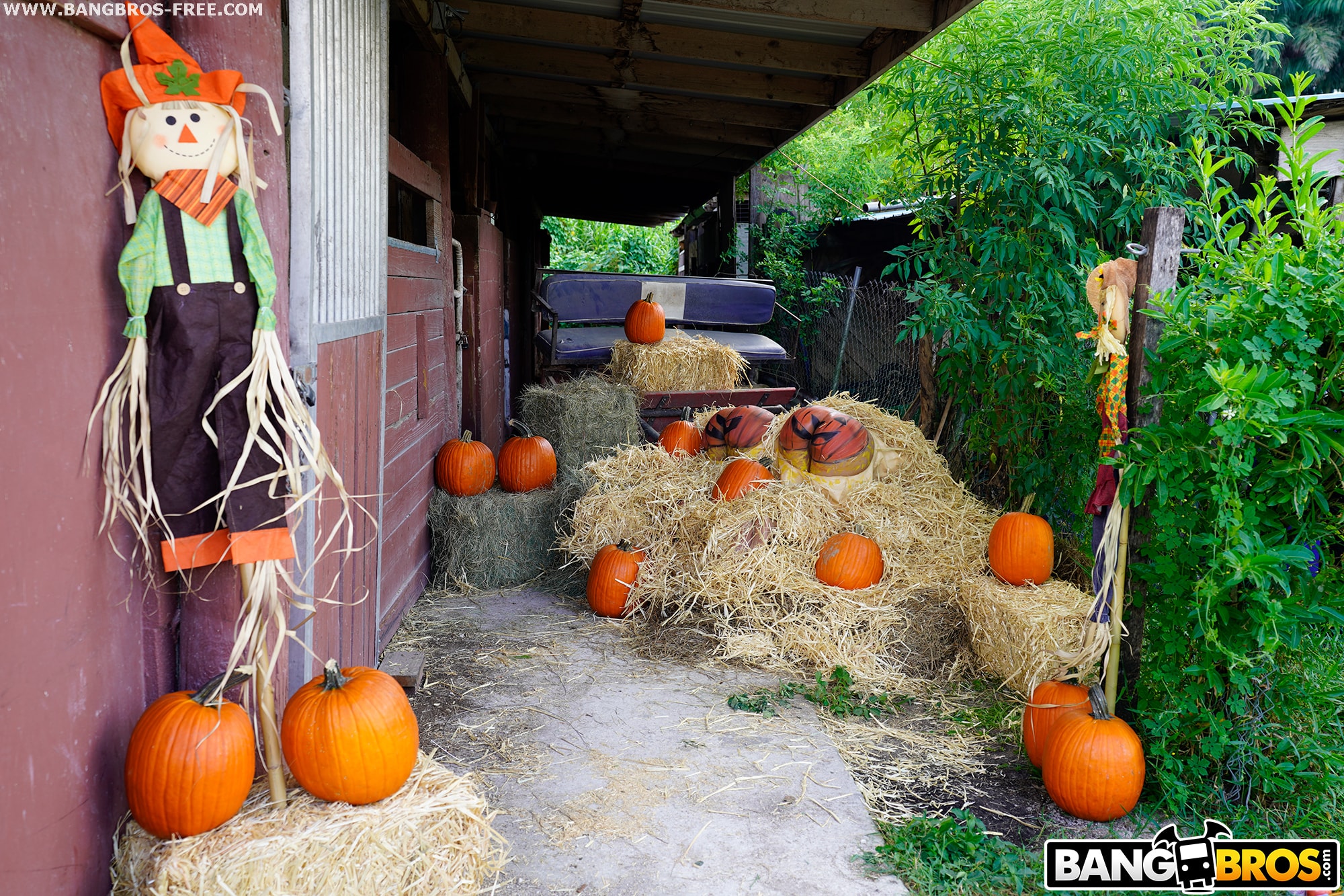 Bangbros 'Pumpkin Booty Patch' starring Rose Monroe (Photo 3)