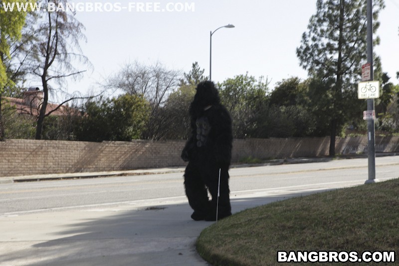 Bangbros 'Not Monkeying Around!' starring Tara Lynn Foxx (Photo 589)