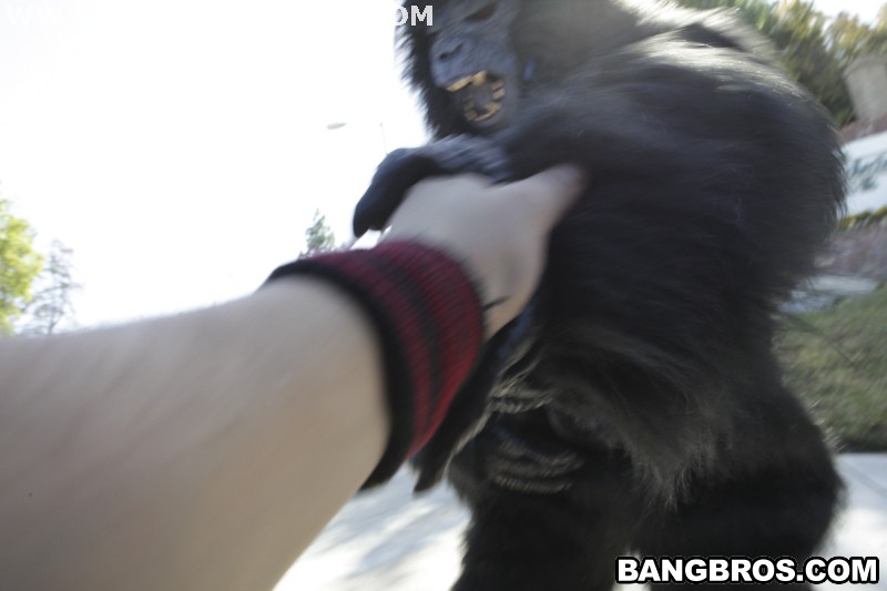 Bangbros 'Not Monkeying Around!' starring Tara Lynn Foxx (Photo 620)
